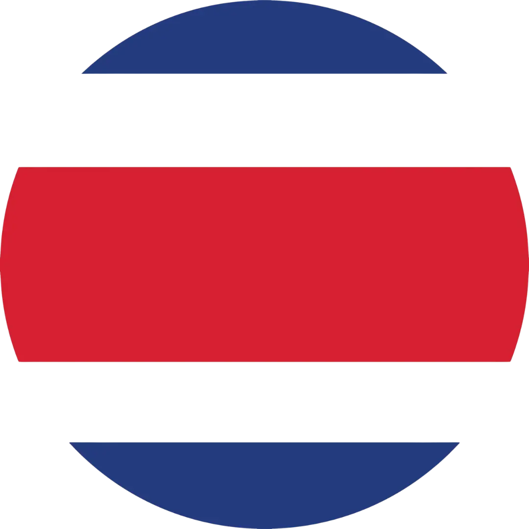 Kansas flag